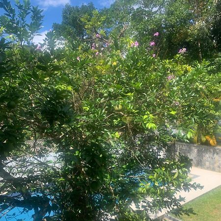 Healand Holiday Bungalow And Restaurant Deniyaya Bagian luar foto